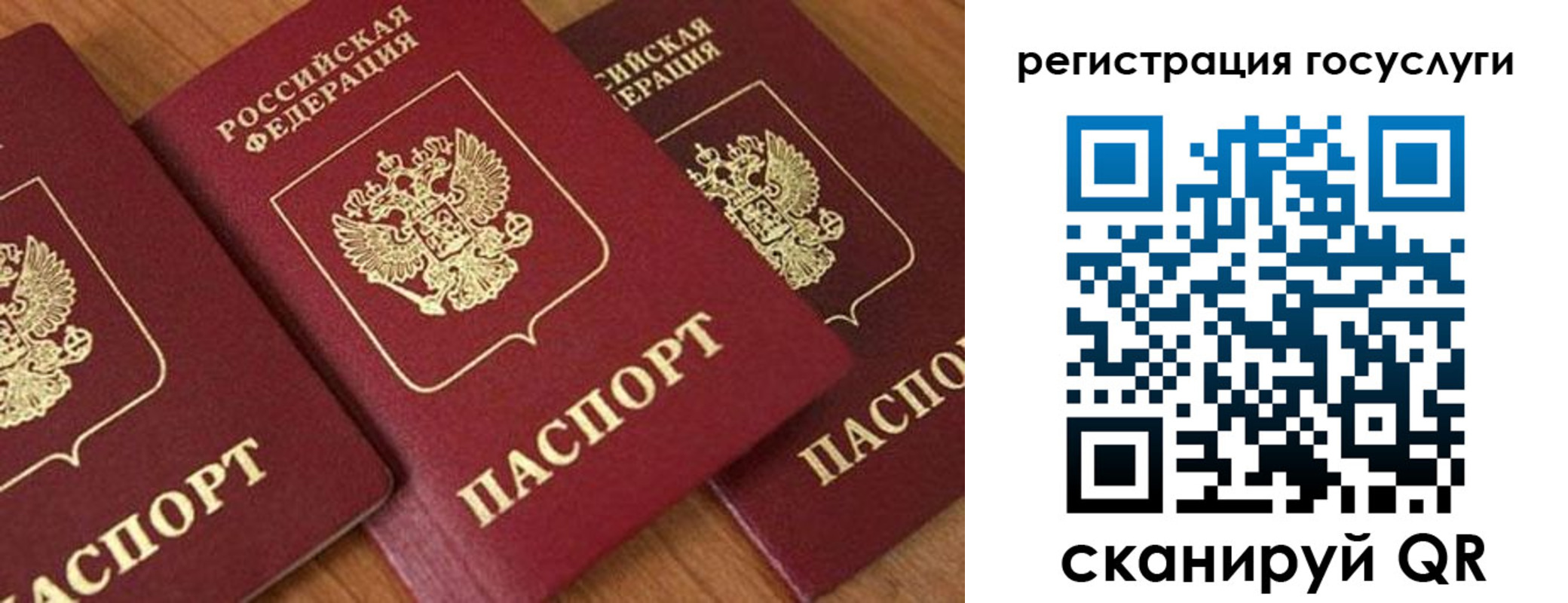 временная регистрация гарантия в Новороссийске